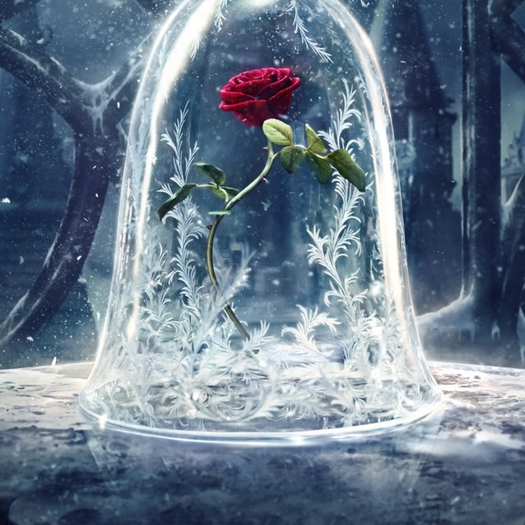 Meet your Posher, Shawn - Picture 1 of 1